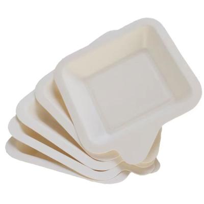 China Biodegradable Doggie Disposable Takeout Box Food Light Picnic Husk Rice Pulp Bagasse Tableware Meal Box Biodegradable Dish for sale