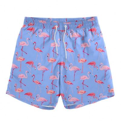 China CCXL OEM QUICK DRY Wholesale Custom Shorts Swimwear Flamingo Shorts Mens Swim Trunks With Compression Liner Summer Shorts Men ST-ANM04 for sale