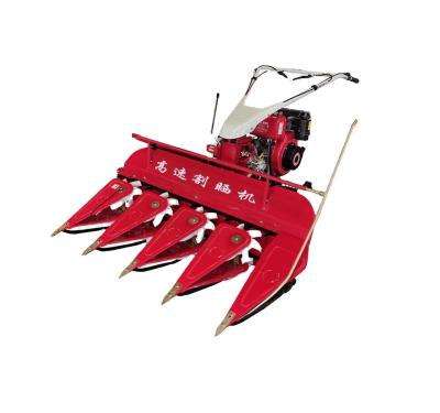 China Rice Wheat and Rice Reaper LK4S-120  Rice Reaper Machine Efficient Rice Reaper Harvester for Paddy Field for sale