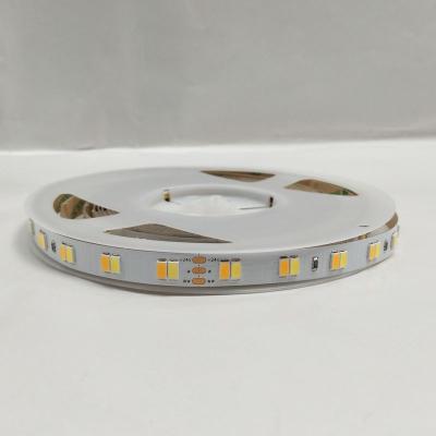 China LANDSCAPE 2700K to 6500K 130lm/W 5730 112leds smd 5630 112leds Bicolor Led Strip Adjustable Ribbon Two Dual Color Bicolor CCT Led Strip Light for sale