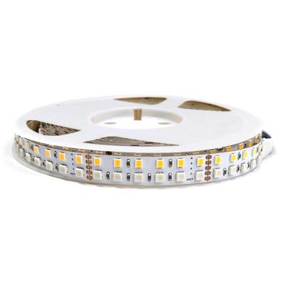 China Hotel China Best LED Lamp Power 19.2W 3838 Flexible Waterproof RGBW 240led/M LED Strip Light Remote Control Strip for sale