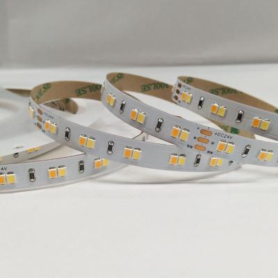 China 2700-6500K Dual Color 2700-6500K Equal Color 120leds/m LANDSCAPE SMD ra80 ra80 Bicolor Adjustable 24V DC Led Strip Ribbon Led Strip Light for sale