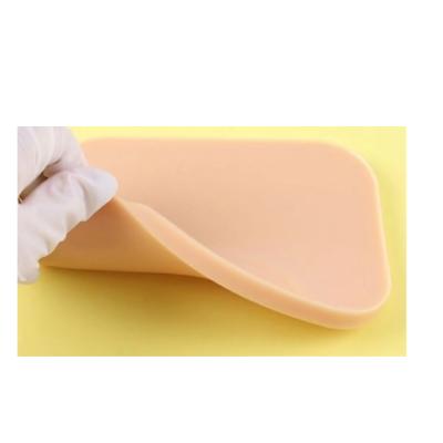 China Reusable Silicone Suture Skin Model with Plastic Base, Silicone Suture Training Skin Pad, Surgical Suture Skill Training Model for sale