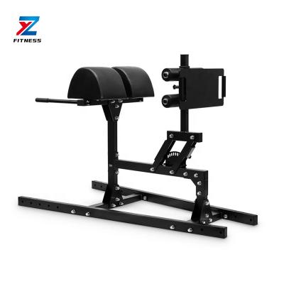 China ZY Modern Fitness Gym GHD Glute Ham Developer Commercial Equipment For Back Extension for sale