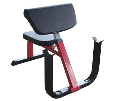 China ZY Modern Fitness Preacher Heavy Duty Loop Bench for sale