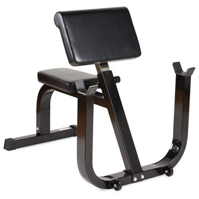 China Modern Strength Forming Seated Preacher Loop Bench for sale