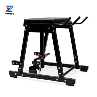 China Modern ZY Fitness Gym Power Training Equipment Hyper Inverse for sale