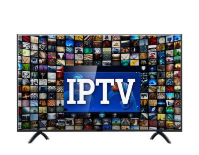 China IPTV 12 Months Free Trial Subscription Best HD 4K IPTV Provider Credits Panel Hot Selling IPTV Reseller IPTV Panel Channels for sale