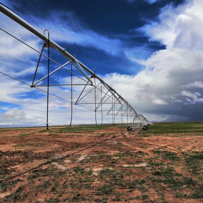 China Increase Irrigation Ratio DAYU 200 Hectares Center Pivot Irrigation System For Agriculture for sale