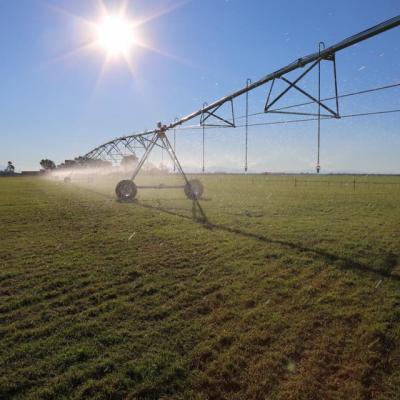 China Increase Irrigation Bearing China DAYU Center Pivot Irrigation System With Big Gun Sprinkler for sale