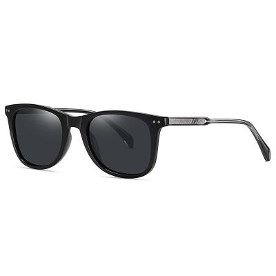 China Spring 2022 Fashion Sunglasses OEM Design Polarized Spring Pin Temple Sunglasses For Men for sale