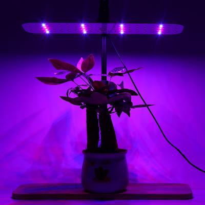 China Seed Starting 2022 New Smart Designed Desk Lamp Spectrum Table 10 Levels Full Brightness Led Grow Lights For Kitchen Vegetables Indoor Flowers for sale