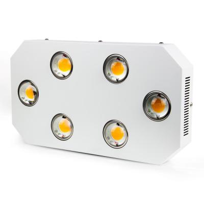 China Seed Starting 2018 New 300W 600W 900W Listing Indoor Led Grow Light Full Spectrum Grow With Citizen clu048 1212 for sale