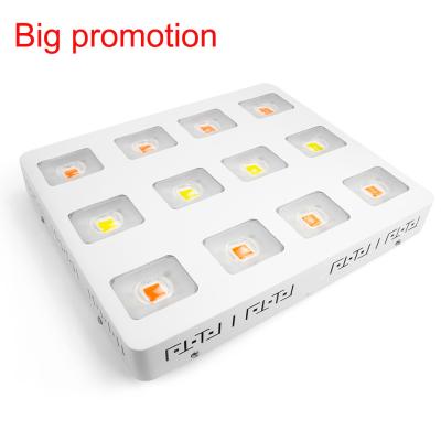 China Plants Veg Growth Flower 1200W Full Spectrum COB LED Grow Light For Money Tree Plants for sale