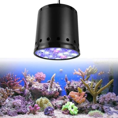 China Other China newest support high efficiency LED aquarium light Panda Grow wifi and switch led to grow light for sale