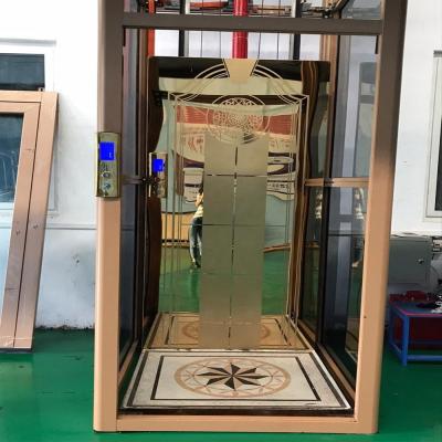 China 4m Elevator Home Lift Modern Residential Homes Elevator Small Screw Lift For 4 Floors for sale