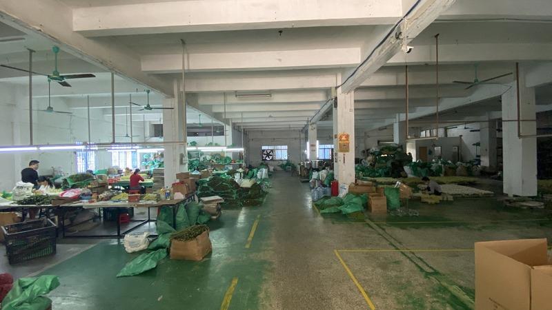 Verified China supplier - Dongguan Qishi Zihui Handicraft Processing Shop