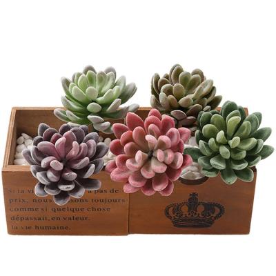 China Mini Artificial Succulent Plants Environmentally Friendly Wholesale Home And Garden Decoration Faux Artificial Succulents for sale