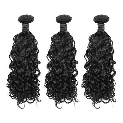 China Brazilian Water Wave Hair Water Wave Weft Cuticle Aligned Bundles 100% Virgin Remy Hair Extension Unprocessed Virgin Hair for sale