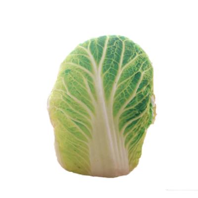 China Plush Cabbage Plush Toys/Vegetable Plush Toys/Christmas Toy for sale