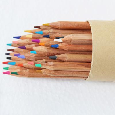 China Proffesional Natural Wood Thick Lead Color Pencil Wood Pencil Wood Thick Advance Paper Tube Supplier Linden Stationery Triangular Coloring Pencil Case for sale