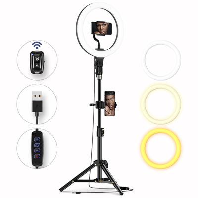 China Video Studio Shooting 26cm Makeup 10inch LED Fill Ring Light With 0.5m Stand For Phone And Video Conference Live Stream With Remote Control for sale