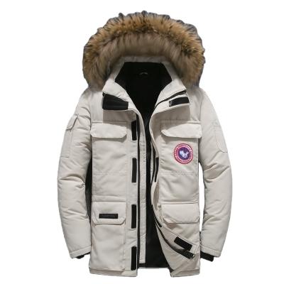 China Anti-wrinkle winter warm men's jacket casual autumn comic collar down thick hooded white duck down parka down jacket for sale