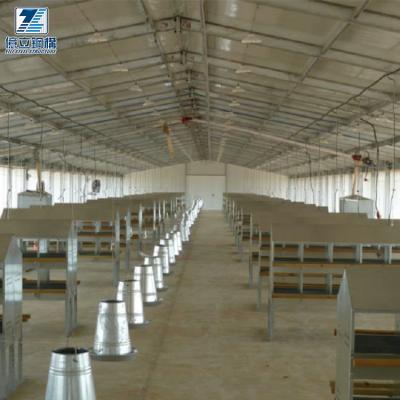 China Durable Commercial Agriculture House Chicken Farm Building Chicken Farm Feeding Shed for sale