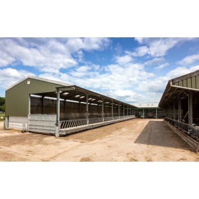 China Cattle Barn China Steel Fabricated Steel Manufacturer Metal Building Customized House for sale