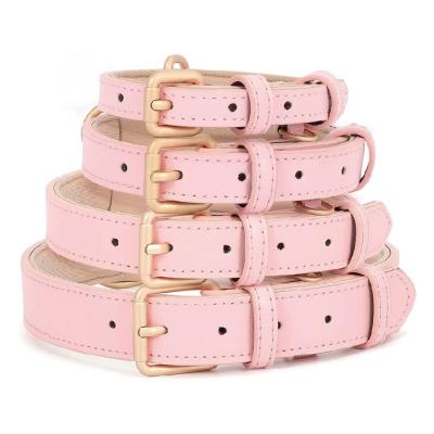 China Muti Color Simple And Fashion Padded Solid Genuine Leather Dog Collar Dog Collar for sale