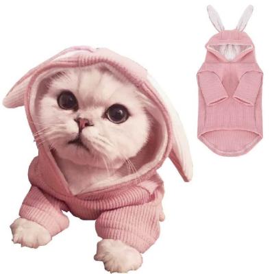 China New Spring and Autumn Lovely Pet Clothes Small High Quality Viable Cat Hoodies Warm Cat Costume for sale