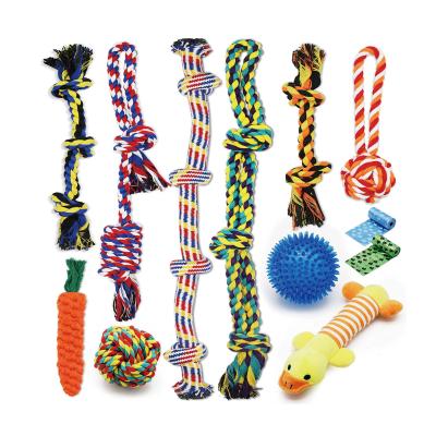 China Custom Durable Types Viable Squeaky Set Of 12 Different Packs Dog Chew Toy Cotton Rope Dog Toys Dog Toys for sale