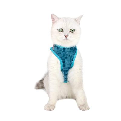 China Popular Outdoor Dog Sports Pet Harness Breathable Soft Mesh Polyester Personalized Cat Dog Walking Harness DETACHED for sale