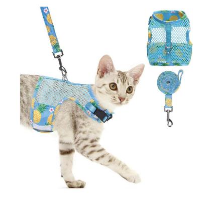 China Hot Sale DETACHED Pineapple Patterns Outdoor Walking Cooling In Soft Breathable Mesh Cat Harness Summer And Leash Set for sale