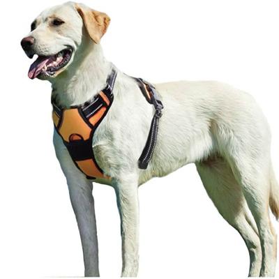 China Wholesale DETACHED Outdoor Custom Adjustable Nylon Dog Accessories No Pull Pet Training Dog Harness For Medium Large Dog for sale