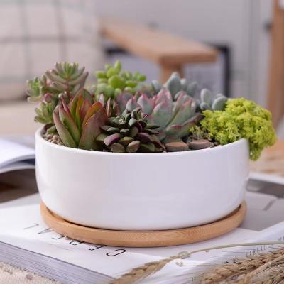 China 6 inch creative modern round white ceramic shallow flower pot with tray for home, garden used with flower/modern glazed green plant for sale