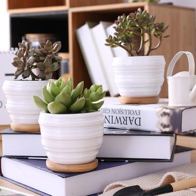 China Modern Decorative White Ceramic Square Cactus Planter Succulent Pot With Wood Tray for sale