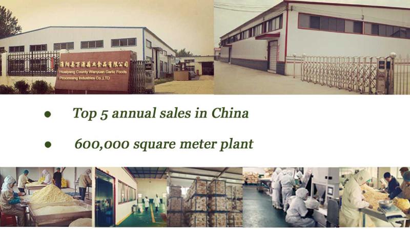 Verified China supplier - Huaiyang County Wanyuan Garlic Foods Processing Industries Co., Ltd.