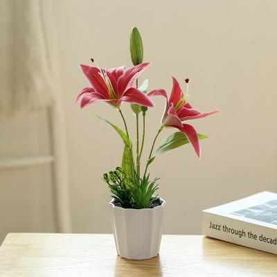 China 2022 New Potted Calla Flower Arrangement Plastic Artificial Fake Lily Flowers Fake Artificial Cally Lily Bonsai Real Touch Latex Diy for sale