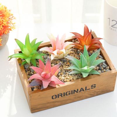 China Minimalist Amazon Hot Sale Artificial Succulents Plants Decorative PVC Material For Home Decoration for sale