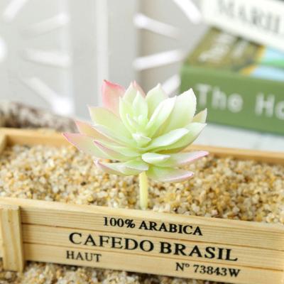 China Minimalist Artificial Potted Succulent Plant With Pot Indoor Outdoor For Decoration for sale