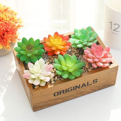 China Live Succulent Plant Concrete Potted Set of Minimalist Wholesale Artificial Succulent Bonsai Plants for Decoration for sale