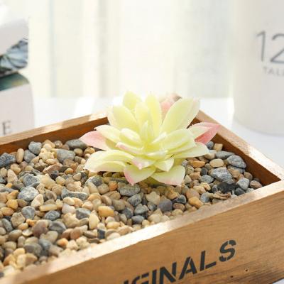 China Minimalist Artificial Faux Succulent Plants Artificial Succulent Plants For Home Office Party Indoor And Outdoor Decor for sale