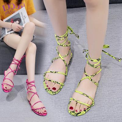 China Fashion Trend Summer Style Women New Snake Print Toe Cross Straps Roman Fashion Open Ladies Shoes Flat Sandals for sale