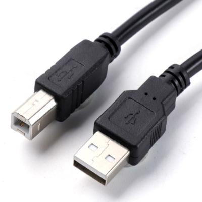 China Data Transmission USB 2.0 A Male To USB B Male USB Printer Cable for sale