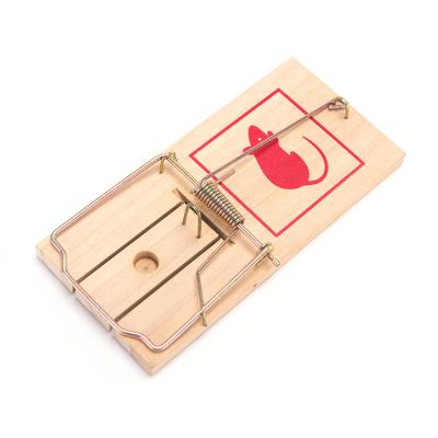 China New Customized Disposable Movable SnapTraps Wooden Rat Mice Mouse Snap Trap for sale