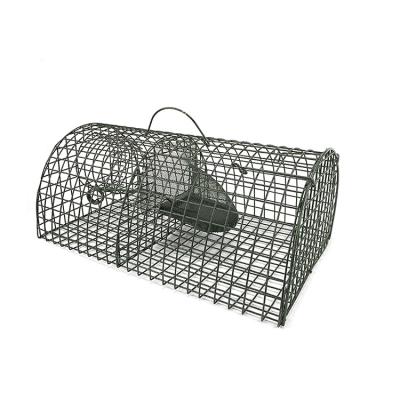 China Disposable Mouse Control Galvanized Mouse Trap Cage Rat Catcher for sale