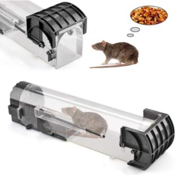 China 2PCS Disposable Mouse Trap Cages Plastic Clamshell Mousetrap No Kill Humane Mouse Trap For Indoor Outdoor for sale