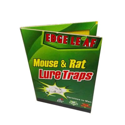 China High quality disposable mouse sticker board mouse glue board trap for sale for sale