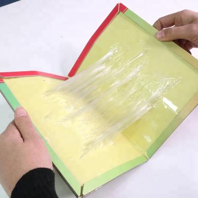 China Factory Supply Disposable Mouse Rat Glue Boards Eco - Friendly Trap With Reasonable Price for sale